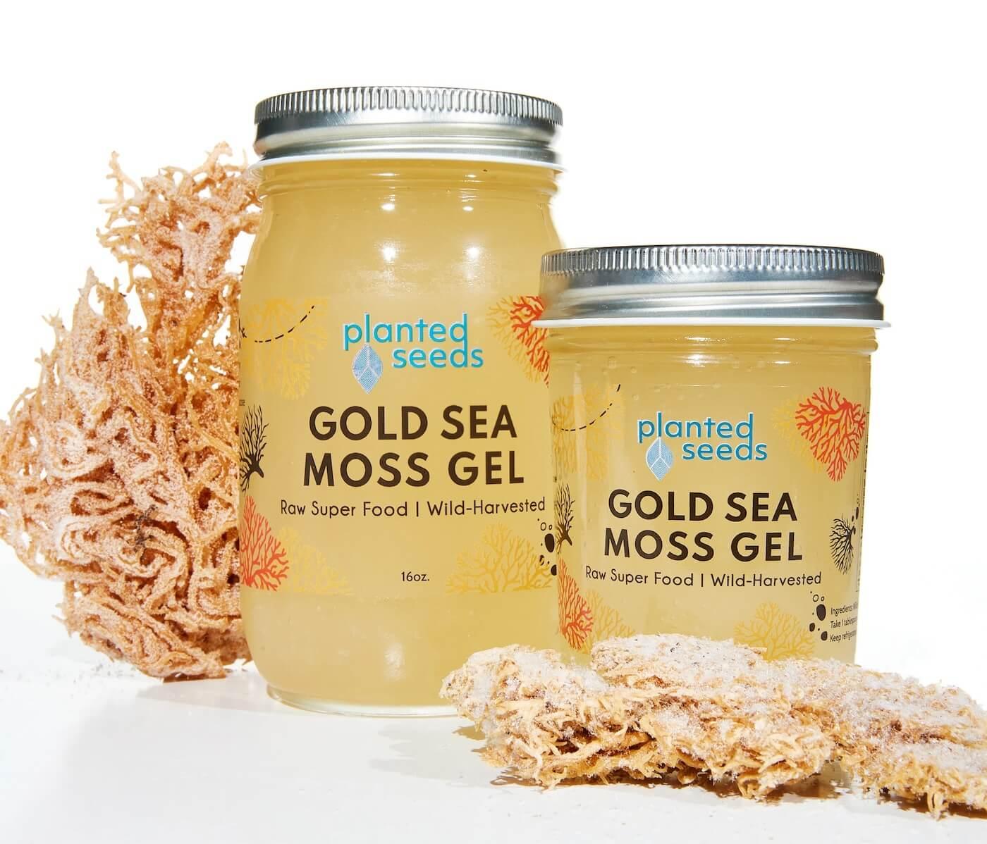 Bella Hadid: Gold Sea Moss Gel